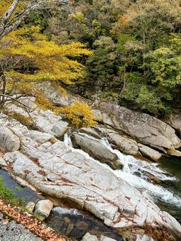 紅葉風景 秋,モミジ,川の写真素材