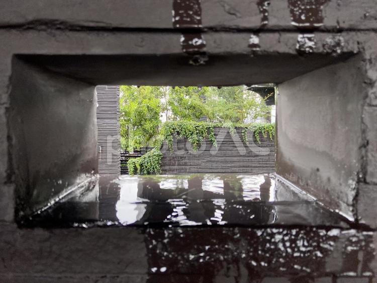 壁の向こうの景色、爽やかなグリーン アイビー,グリーン,水滴の写真素材