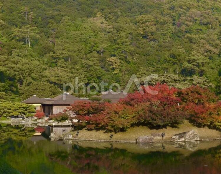 緑と赤の木 風景,湖,木の写真素材