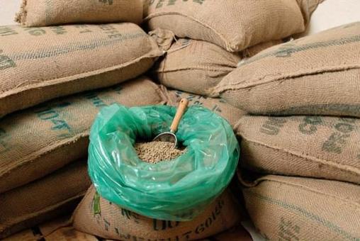 Raw coffee beans procured from Ethiopia Raw coffee beans procured from Ethiopia