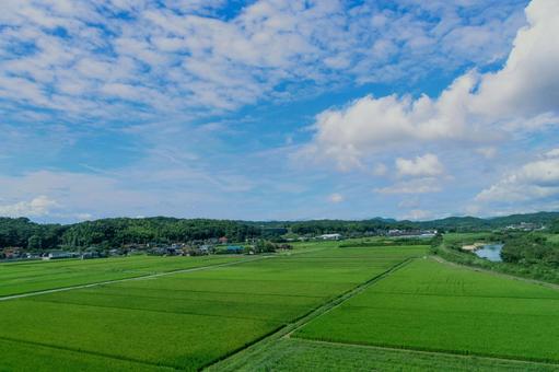 広大な畑広がる宇部市 広大な畑広がる宇部市 山口県,田舎,田んぼの写真素材