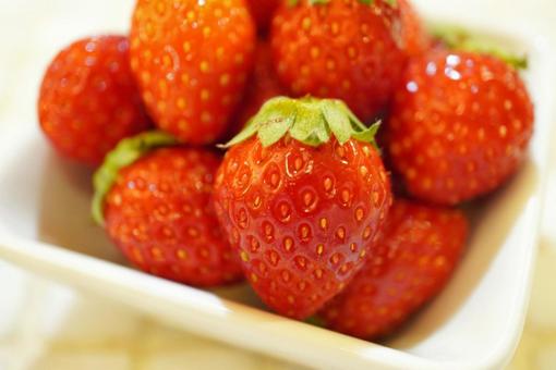 いちごの写真