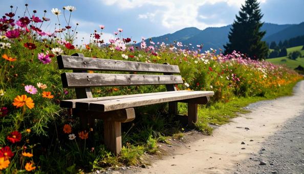 山道のベンチの写真