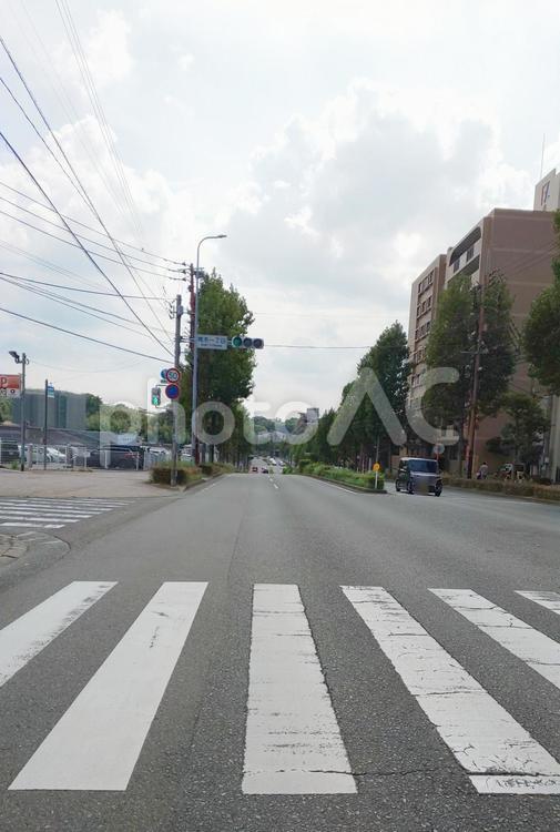 横断歩道-博多の森 横断歩道,道路,車道の写真素材