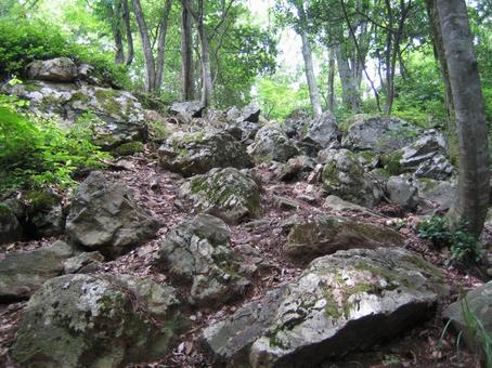 Photo, little valley city, kotaniyama, nagamasa asai, 