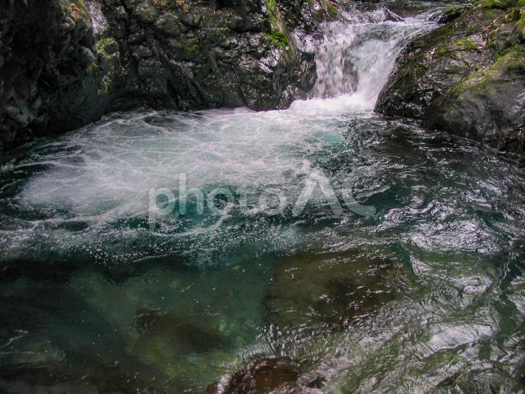 水が澄んでいる美しい渓流 渓流,渓谷,清流の写真素材