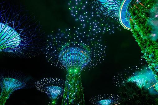 【シンガポール】ガーデンズバイザベイ ガーデンズバイザベイ,シンガポール,ガーデンの写真素材