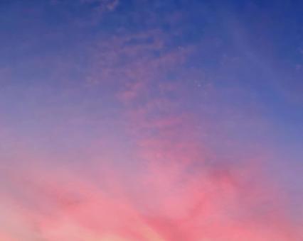 庭から見上げた空 横 庭から見上げた空 横の写真