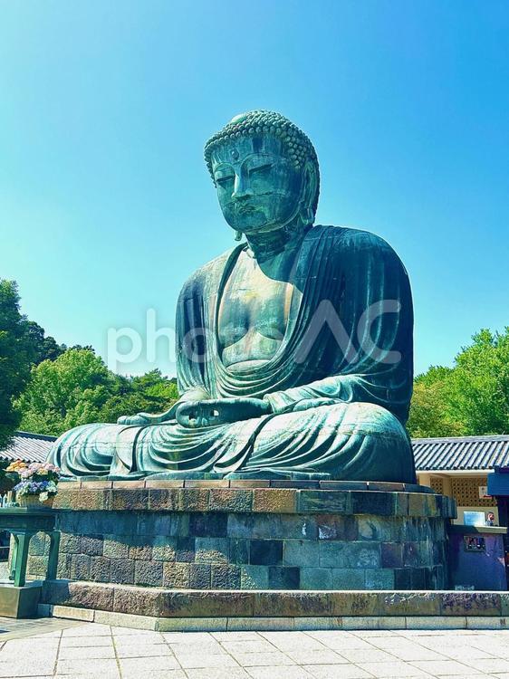 高徳院の鎌倉大仏の写真素材2 大仏,高徳院,鎌倉の写真素材