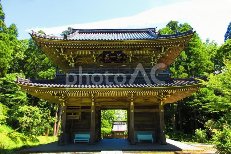 新潟県-林泉寺-山門と惣門 林泉寺,寺,春日山の写真素材