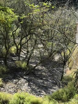 大沢川日向砂防ダム(長野県塩尻市) 大沢川日向砂防ダム(長野県塩尻市) dam,砂防ダム,ダムの写真素材