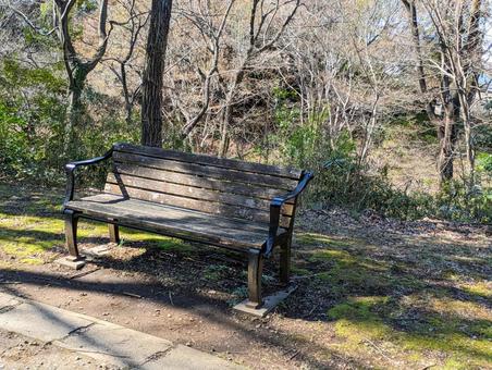 ベンチと木漏れ日 ベンチと木漏れ日 ベンチ,自然,公園の写真素材