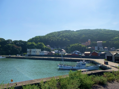 夏の漁港 夏の漁港の写真
