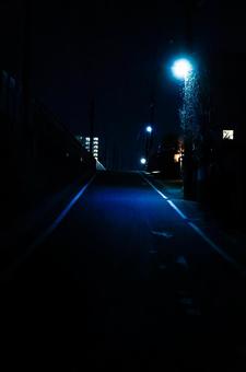 夜道 夜道の写真