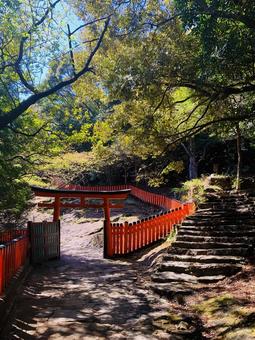 神倉神社 頂上付近 参道 神倉神社 頂上付近 参道 新宮市神倉,神倉神社,熊野信仰の発祥地の写真素材