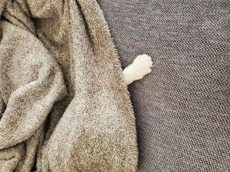 入ってます。。の写真