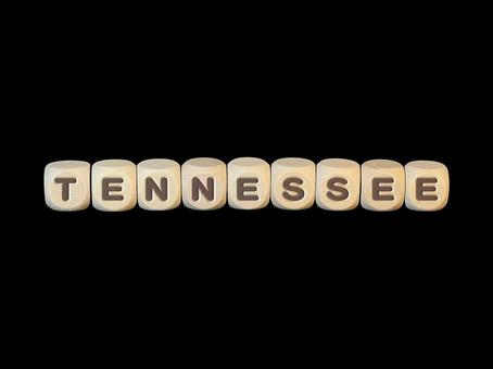 文字ブロック『テネシー州』 文字ブロック『テネシー州』 tennessee,文字,文字ブロックの写真素材