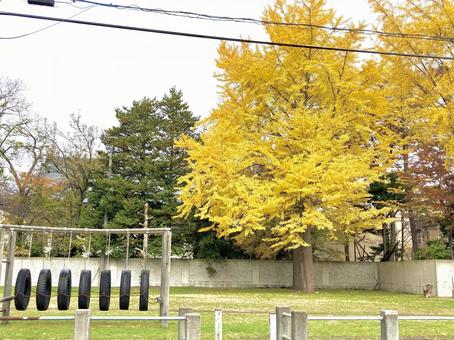秋の公園 秋の公園の写真