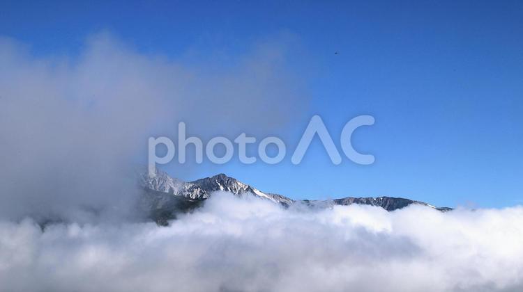 夏の朝の白馬連峰 白馬連峰,白馬五竜高山植物園,夏山の写真素材