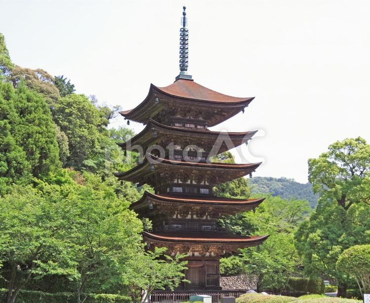 山口　瑠璃光寺　五重塔 山口,瑠璃光寺,五重塔の写真素材