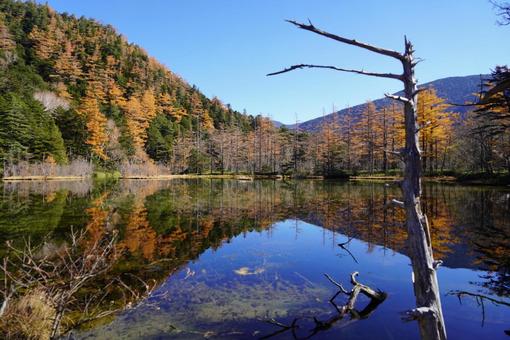 上高地 上高地 秋,ピクニック,山の写真素材