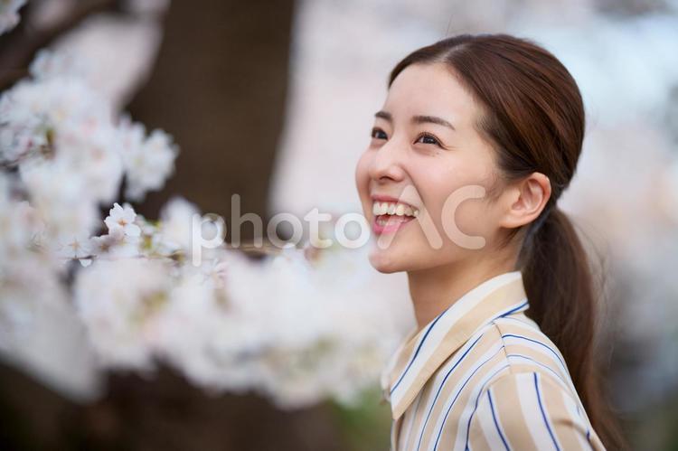 桜の枝と女性 女性,日本人,大人の写真素材