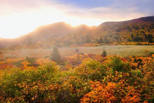 朝焼けの紅葉の栗駒山の名残ヶ原 朝焼けの紅葉の栗駒山の名残ヶ原の写真