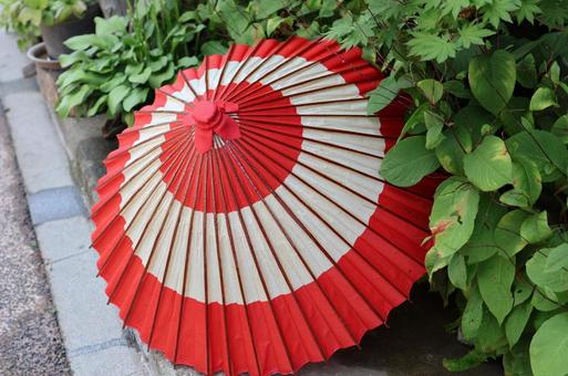 Photo, umbrella, tradition, red, 