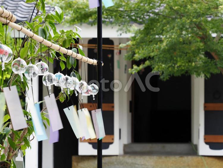 半六庭園の風鈴飾り（愛知県） 半六庭園,風鈴飾り,風物詩の写真素材