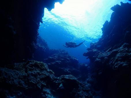沖縄の海 沖縄の海 水中写真,海,海の中の写真素材
