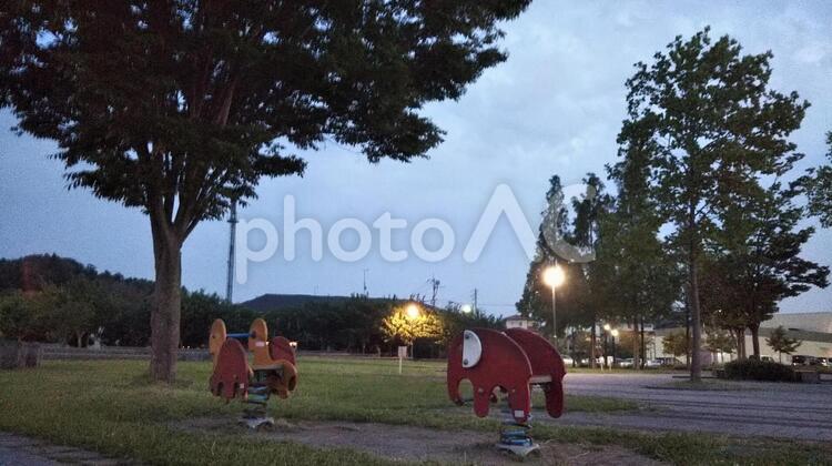 夜の公園 木,公園,風景の写真素材