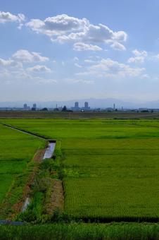 田園風景 田園風景 田園風景,自然,風景の写真素材