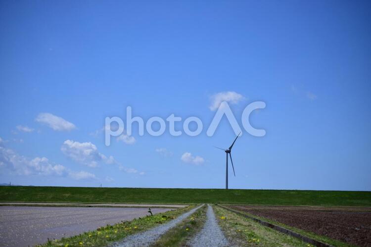 みちのく田んぼと空と風2 空,青空,快晴の写真素材