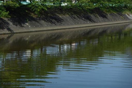 川に映る木々の写真