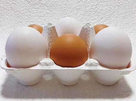 赤白たまご 卵,たまご,生卵の写真素材