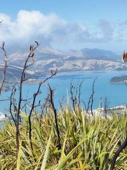 NZクライストチャーチゴンドラ 風景5 NZクライストチャーチゴンドラ 風景5 絶景,リトルトン,丘の写真素材