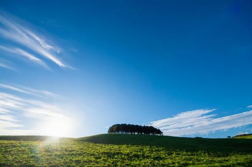 さわやかな青空の下、太陽が昇る牧場の朝 丘,草原,丘陵の写真素材