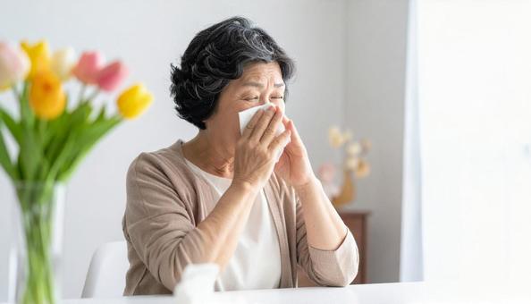 ティッシュで鼻をかむ日本人のシニア女性 ティッシュで鼻をかむ日本人のシニア女性の写真