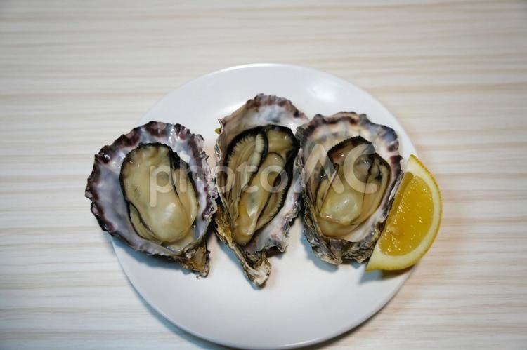 クリーミーな味わいの殻付き牡蠣 カキ,牡蠣,かきの写真素材