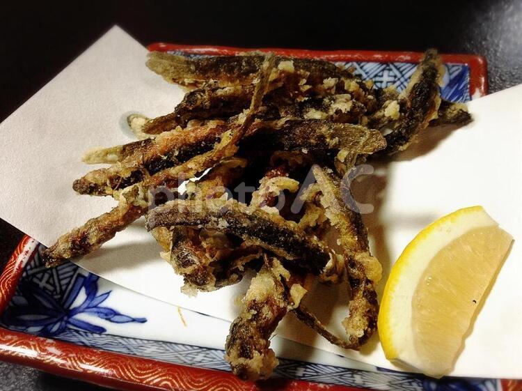 どじょうの唐揚げ どじょう,唐揚げ,珍しいの写真素材