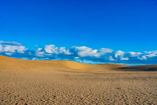 鳥取県　鳥取砂丘の風景 鳥取砂丘,日本の風景,自然の写真素材
