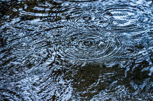 雨の日の水の波紋 雨の日の水の波紋 水,波紋,雨の写真素材