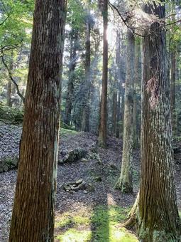 吉田郡山城1の写真