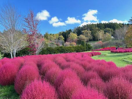 Photo, hokkaido, yuni town, yuni garden, 