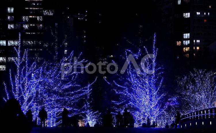 クリスマスイルミネーションの町並み、ビル クリスマス,イルミネーション,キラキラの写真素材