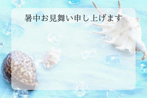 暑中お見舞い申し上げます 貝殻 水色 暑中お見舞い申し上げます 貝殻 水色 暑中見舞い,文字入り,涼し気の写真素材