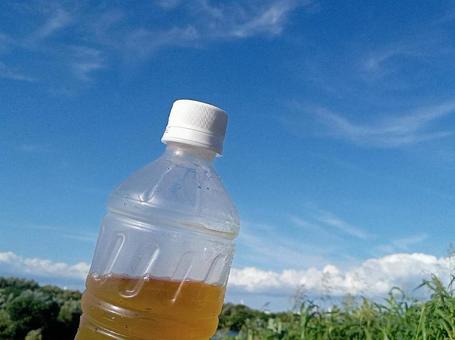 夏空とペットボトルのお茶 夏空とペットボトルのお茶の写真