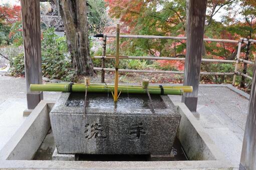 善峯寺　手水舎 善峯寺,手水舎,よしみねでらの写真素材