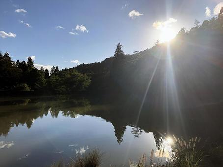 Photo, lake, natural, the trees, 