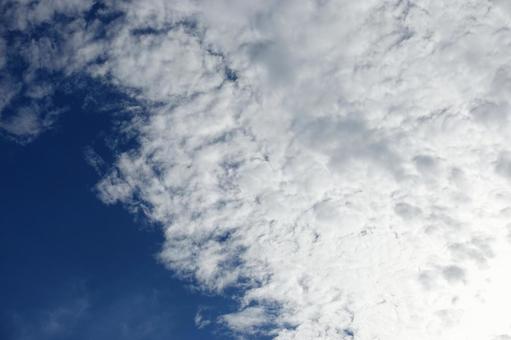 鱗雲と秋の青空 鱗雲と秋の青空 鱗雲,鰯雲,秋空の写真素材